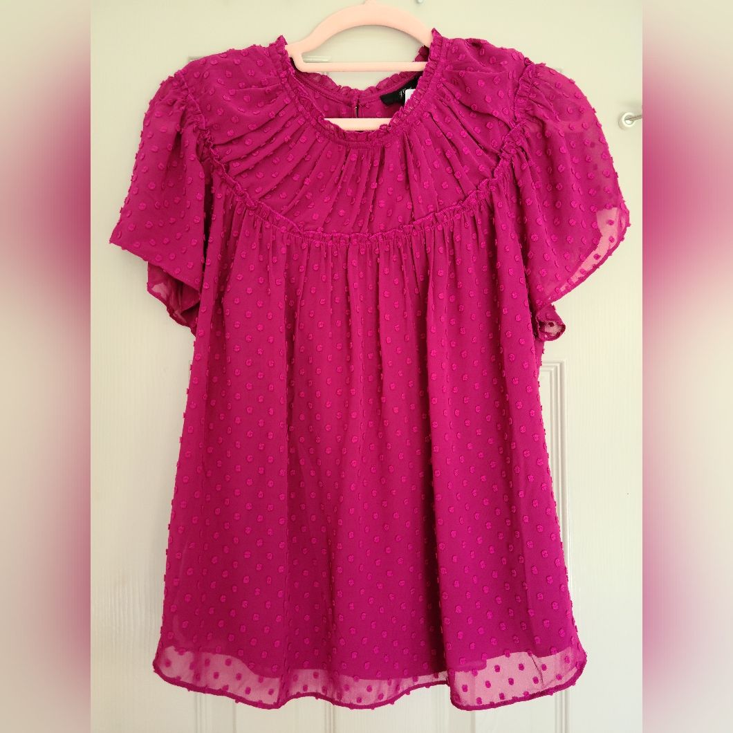 J Crew Swiss Dot Top